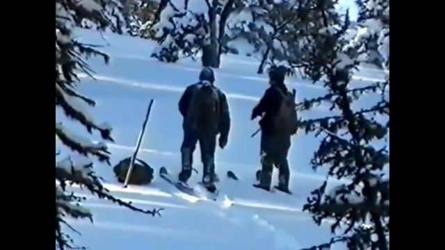Опасная охота на медведя в берлоге , жесть