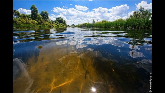 Озеро короб воронежская область