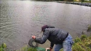 Клевое место д. Савельево. Обзор поимок карпа и линя в третьем и четвертом секторе