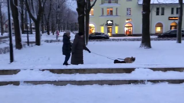 137. Позитивный день......8 января 2021 г. смотреть онлайн