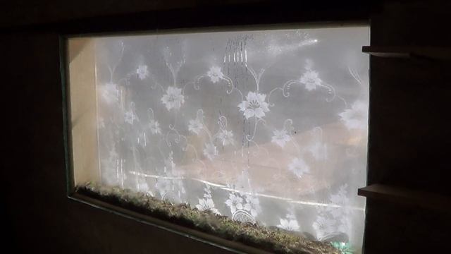 козоводство с ноля Суриков Д.П. г. Иркутск серия 8/2 (кормушка для прикорма) смотреть онлайн