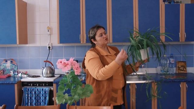 Мастер-класс "Лекарственные комнатные растения" смотреть онлайн