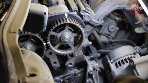 Пример замены ремня ГРМ на Ford Focus