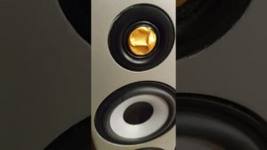 Monitor audio radius 270