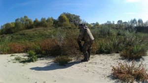 Сбор семян Лебеды стреловидной