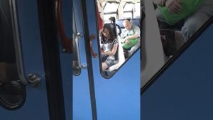 Электричка москва ярославская-фрязино