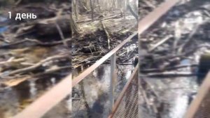 Как пристроить новое помещение к старому, Осадочный шов. Как пристроить к дому пристройку