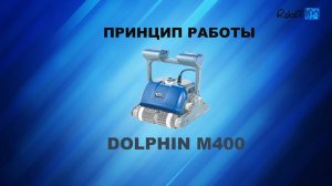 Принцип работы и комплектация Dolphin M400