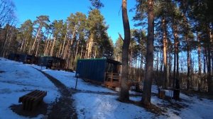 Домики в лесу. "Сова на заливе" Ленинградская область.