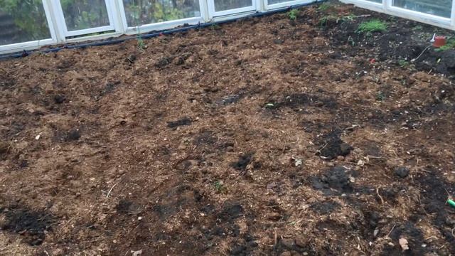 Подготовка почвы в теплице к новому сезону смотреть онлайн