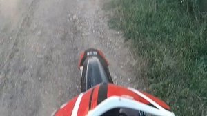 Мое первое заключение о BSE Z10