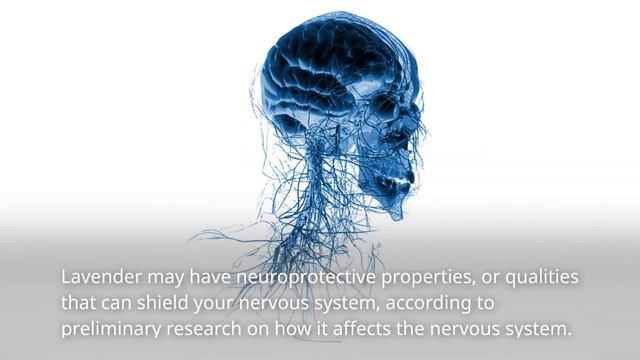 Lavender Health Benefits смотреть онлайн