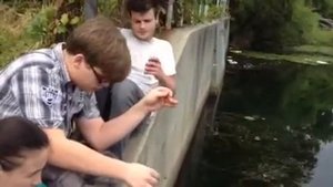 Мальчики ловят рыбу