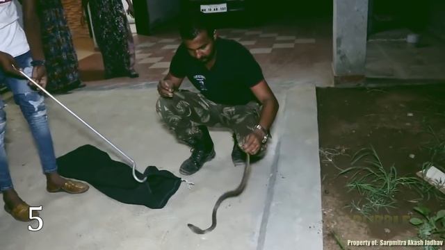 10 Добрых поступков людей к животным смотреть онлайн