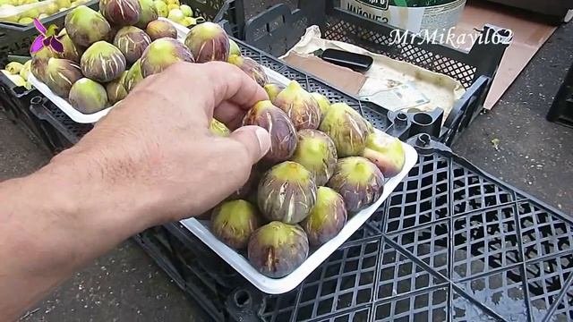 Сезон инжира! Обзор сортов и цен. Базар - 