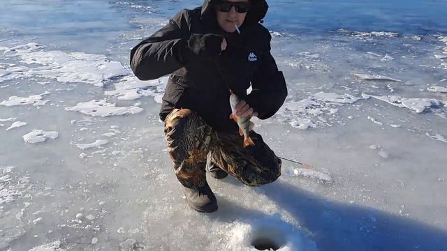 Окунь дал жару! Это Астраханская рыбалка. смотреть онлайн
