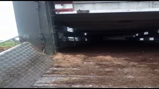 Товарные Абердин Ангус Красный и черный. Транспортировка КРС. Commodity Aberdeen Angus смотреть онлайн