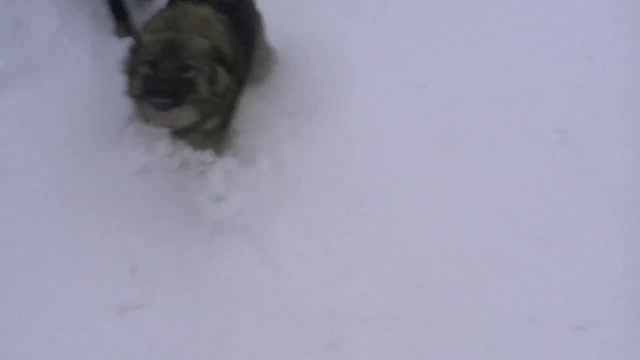 Добрые соседи!