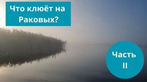 #52 #спиннинг   Что клюёт на Раковых? Часть 2