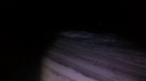 АРГЕНТИНСКИЙ ДОГ ГУЛЯЕМ В МОРОЗ  МИНУС 15