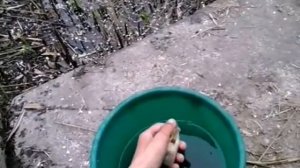 Рыбалка весной. Ловля окуня на червя. В апреле