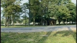 Городок - Золотая рыбка