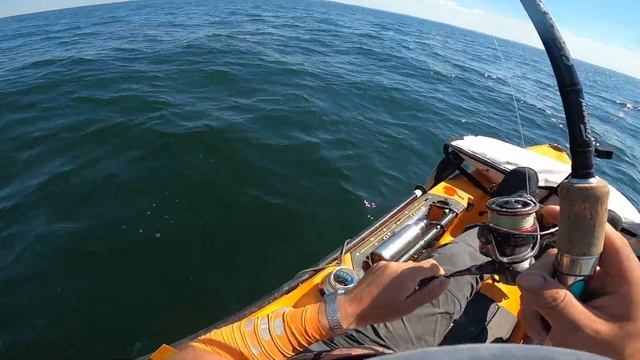 So MANY Fishing Options... Where to Start!? Western LI Sound | Connecticut Kayak Fishing смотреть онлайн