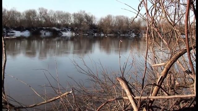 Весенняя охота на селезня с подсадной уткой 5 смотреть онлайн