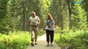 Линдуловская роща