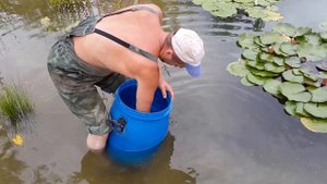 Зарыбление пруда. Искусственный водоем для рыбы.