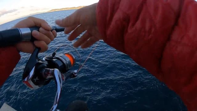 【堤防から青物入れ食い】本当に誰でも簡単に釣れるショアジギング！ смотреть онлайн