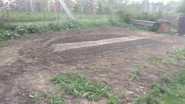 Что цветет на даче на майские праздники? смотреть онлайн