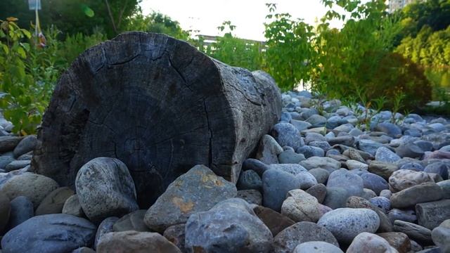 sony nex 5r cinematic test with 16 to 50mm lens смотреть онлайн