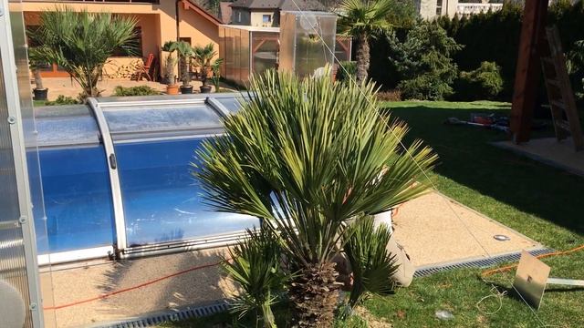 Palmy a Zahrady s.r.o. - Glasshouse removal PART II - Chamaerops Humilis Vulcano 2017 смотреть онлайн