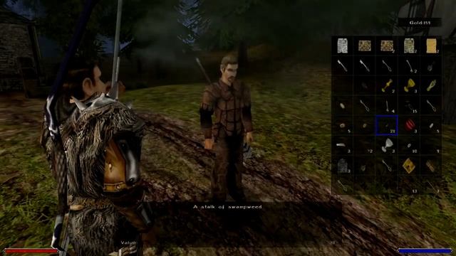 Обзор на Gothic II [SsethTzeentach RUS VO]