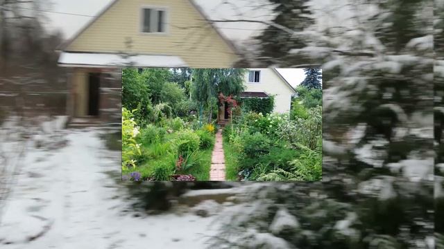 Моя прекрасная ДАЧА!  Обзор участка и домика.