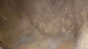 3.?☠?МЕСЯЦ ВЫЖИВАНИЕ В ДИКОЙ ПРИРОДЕ БЕЗ НИЧЕГО _ ДИКИЕ ПЧЕЛЫ _ ДОСТУПНАЯ ЕДА _ ПЕЧЬ В ЗЕМЛЯНКЕ