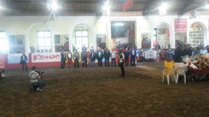 Екатерина Гусева 14.05.15