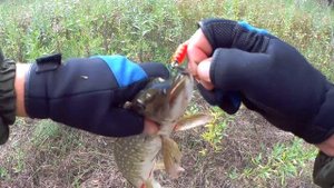 ПОПАЛИ НА ЩУЧИЙ ЖОР! ЛОВЧИЕ БЛЕСНА НА КРАСНОЯРСКОЕ ВОДОХРАНИЛИЩЕ.