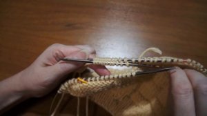 Комбинезон для собаки с застежкой на спине. Вязание со спины.