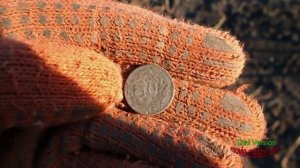 поиск монет около с.Старые Вирки .