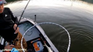 Рыбалка и быт, обзор шатра Crusoe Camp и кемпинговая мебель для него - Ахтуба 2021 июльская поездка