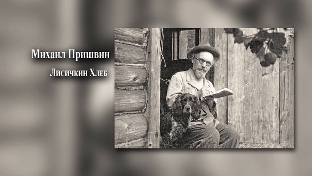 Аудиозапись пришвин. Жизнь Пришвина. Пришвин таинственный ящик. Золотой луг пришвин.