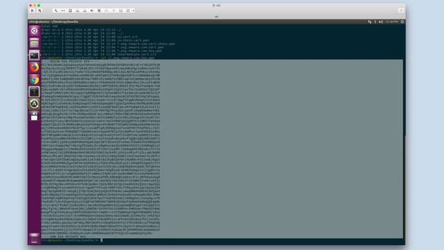 Deploying vSphere Integrated Containers Appliance v1.4.0 смотреть онлайн