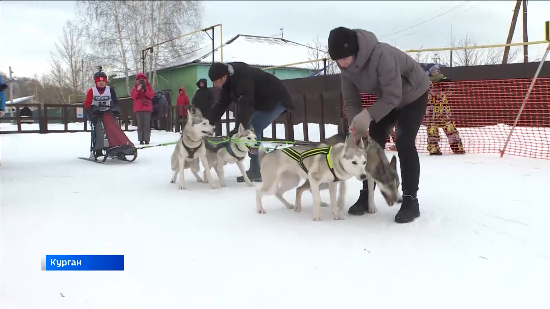 В Кургане прошли соревнования по ездовому спорту