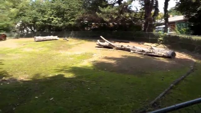 Wir spazieren im alten deutschen Zoo 4 смотреть онлайн