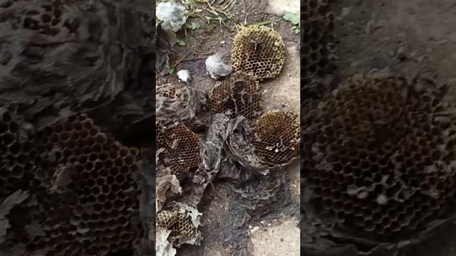 как утеплить стены и потолок смотреть онлайн