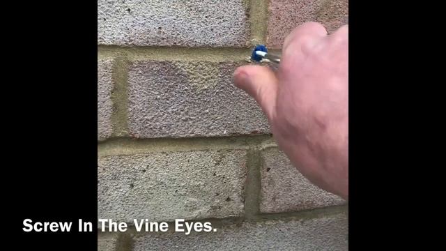 How To Support Climbers With Wire and Vine Eyes, Supporting Climbing Plants, Home DIY