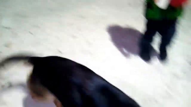 Красота и рассуждение смотреть онлайн