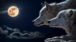 _Wolf Spirit_ - шаманская целебная музыка 432 Гц (шаманские музыкальные барабаны) ( 240 X 426 ).mp4